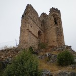 castillo de pelegrina