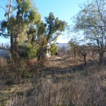 aldehuela perales del rio