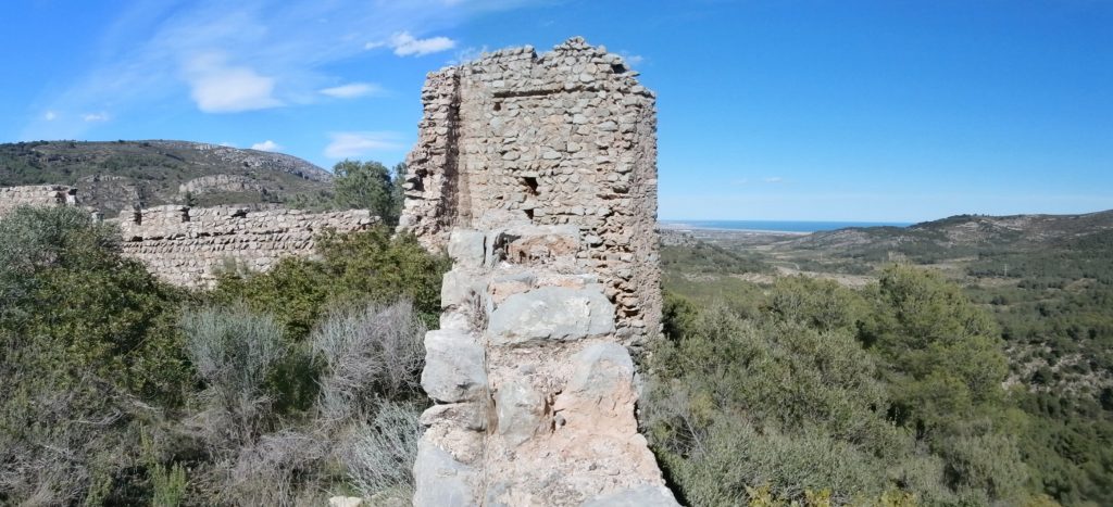 Muralla y Torre defensiva