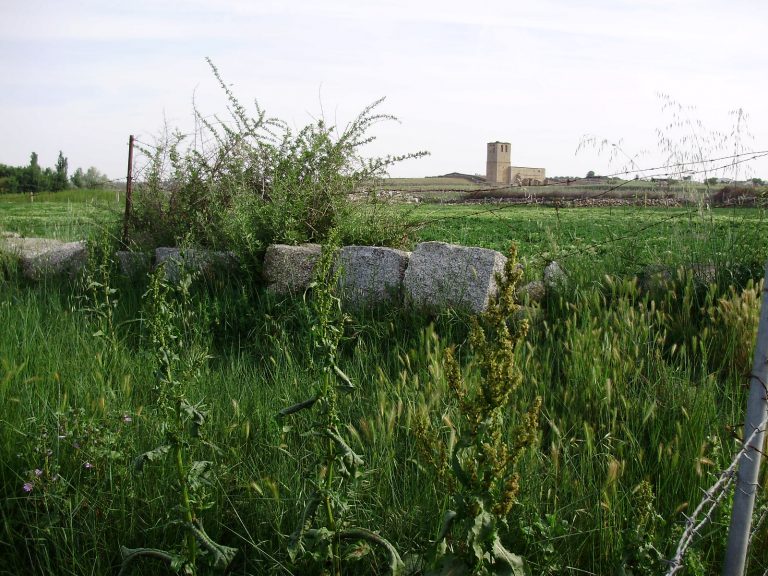 El Despoblado de Jumela (Menasalbas, Toledo).
