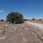 piedra del ovni campo de criptana